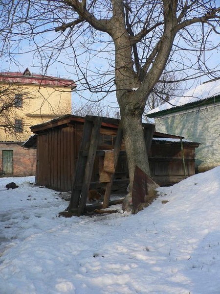 пес-охоронець хати № 189 по вул. Карла-Лібкнехта (нині Костянтинівська)