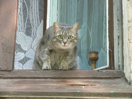 Чугайстр по-прилуцьки