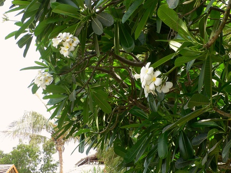 Дубай, травень 2012