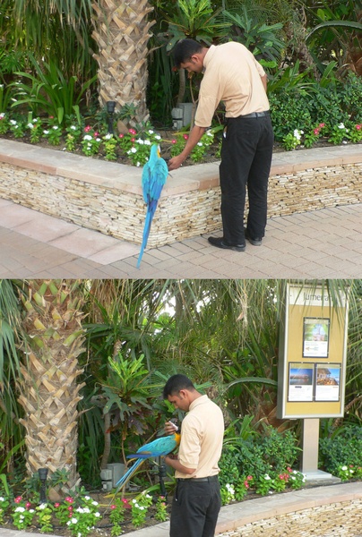 Дубай, травень 2012