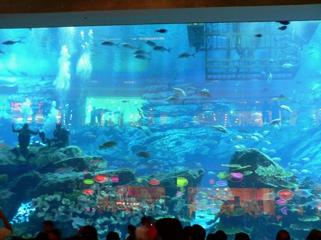 Дубай, травень 2012